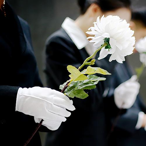 흰 장갑을 끼고 국화를 든 장례지도사